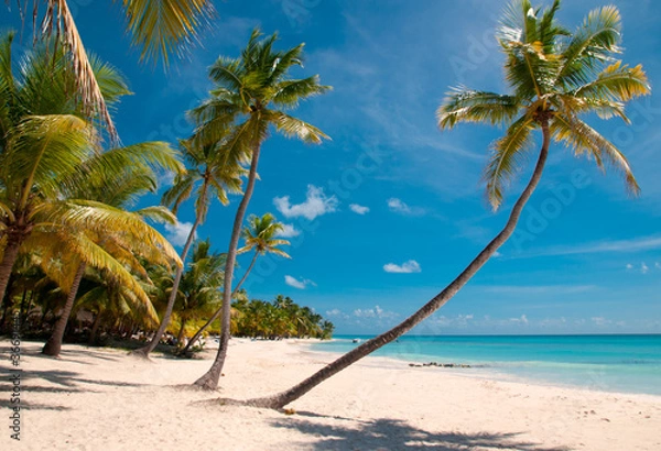 Fototapeta Karibischer Strand