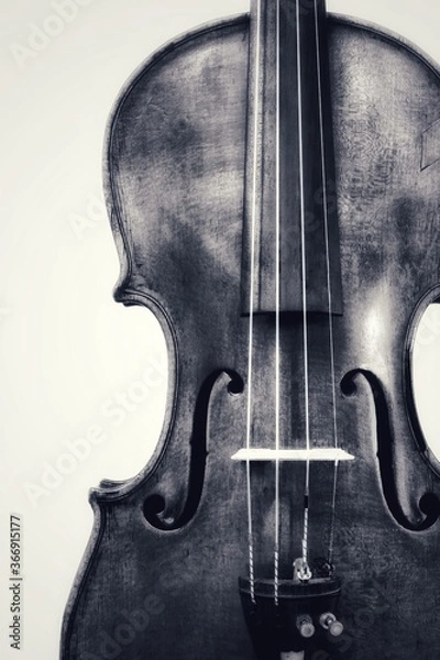 Fototapeta violin in a white background