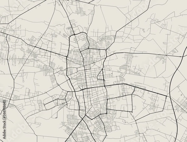 Obraz Vector map of Lodz. Street map art poster illustration.