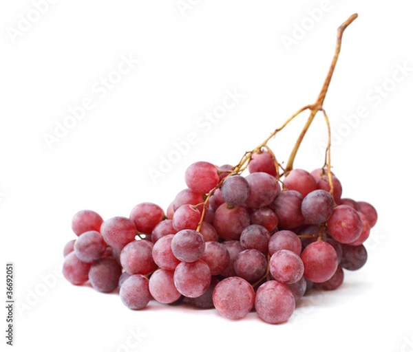 Fototapeta Grape isolated on white background