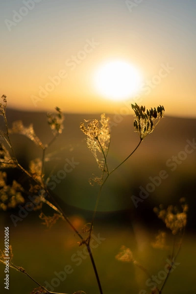 Obraz Sonnenuntergang