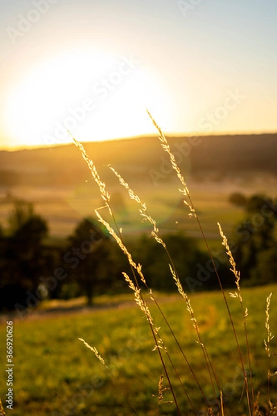 Obraz Sonnenuntergang