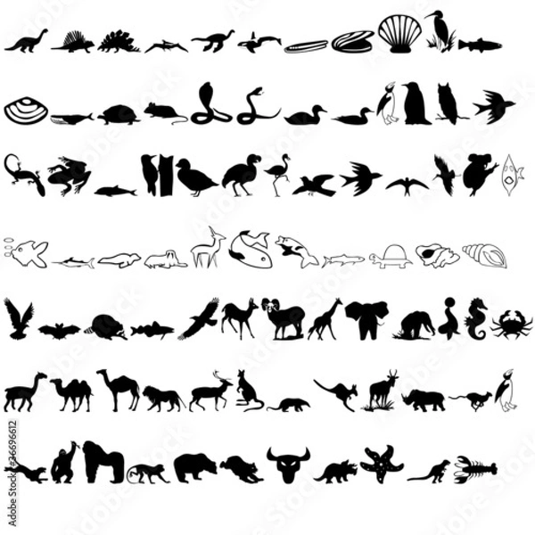 Obraz Hayvanlar ikon 1