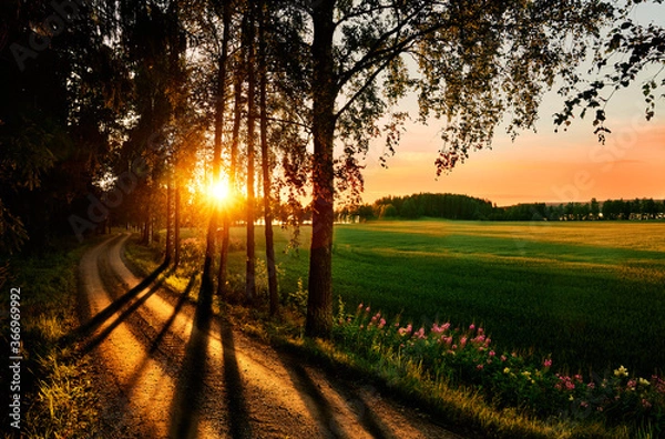 Obraz Countryside Finland on a hot summer day.