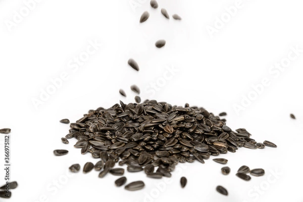 Fototapeta sunflower seeds close up on white background