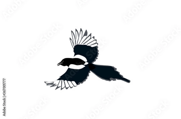 Obraz wildlife, beautiful,