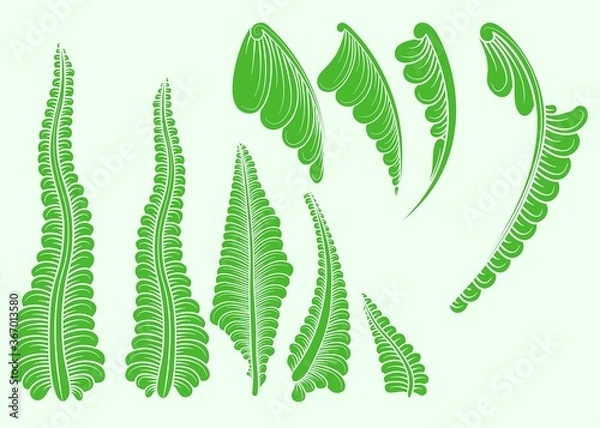 Obraz set of decorative elements for design