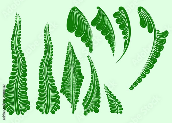 Obraz set of decorative elements for design