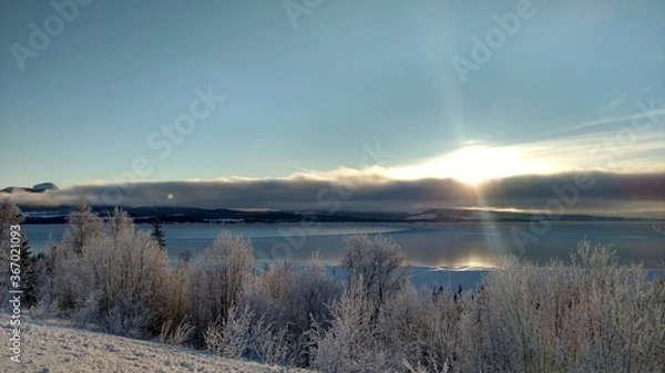 Fototapeta Sun in wintertime