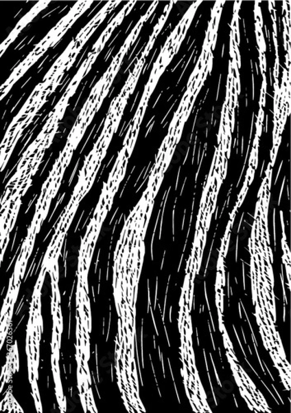 Fototapeta Zebra Illustration Linocut Black and White 