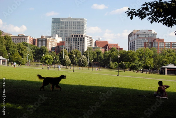 Fototapeta Descansando en el parque con el prerro