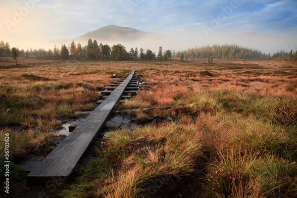 Fototapeta ein Morgen im Jämtland