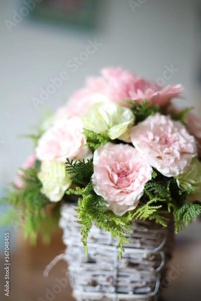 Obraz 花
Flower
鮮やか
ピンク
生物
