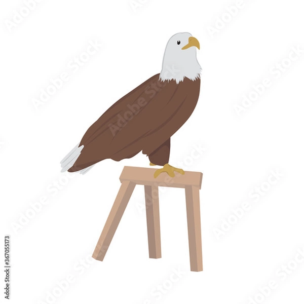 Obraz Bald Eagle Illustration