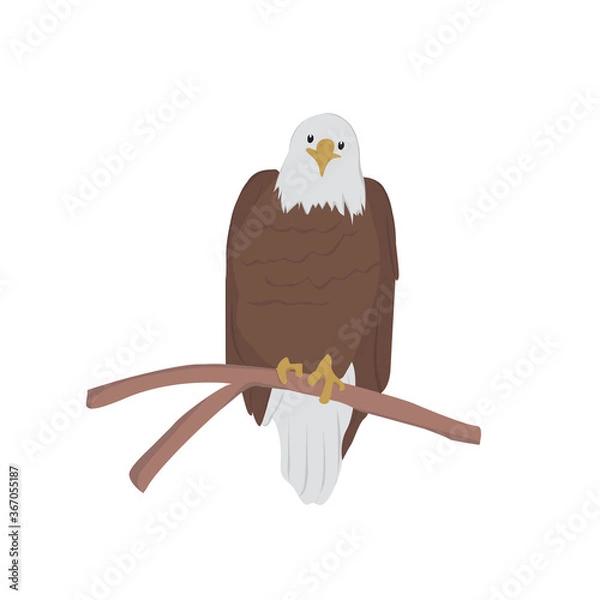 Obraz Bald Eagle Illustration
