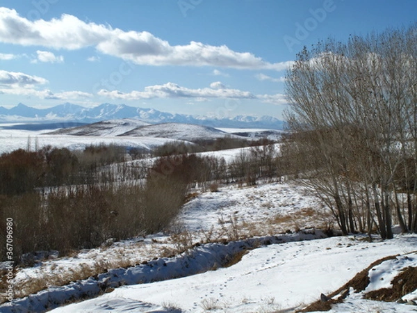 Obraz winter landscape 