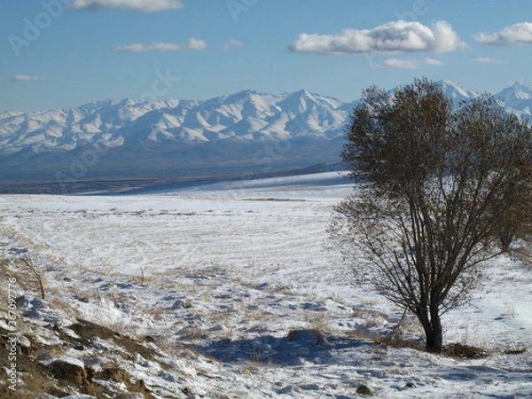 Obraz winter landscape in the mountains