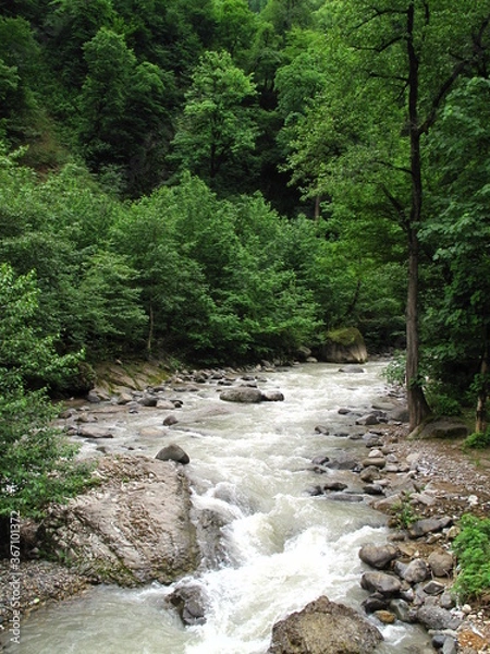 Obraz river in the forest