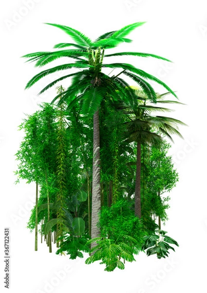 Obraz 3D Rendering Jungle Plants on White