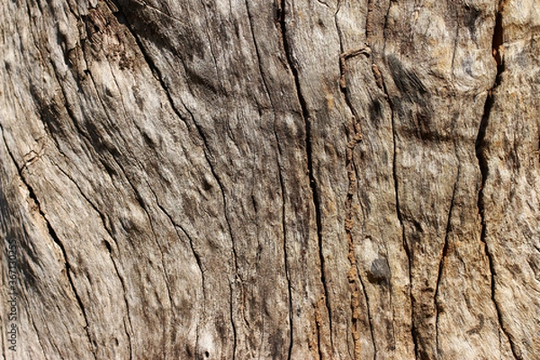 Fototapeta wood texture background