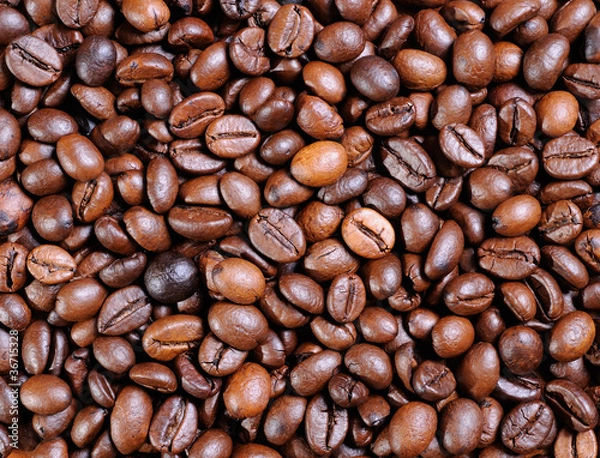 Obraz Coffee beans