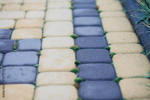 Fototapeta Nested pavers of various colors, around the grass is green, chic garden