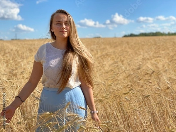 Obraz beautiful woman walks in a field with ears, takes pictures in a wheat field
