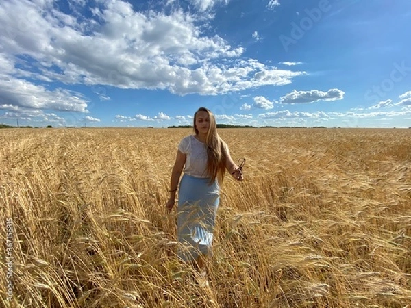 Obraz beautiful woman walks in a field with ears, takes pictures in a wheat field
