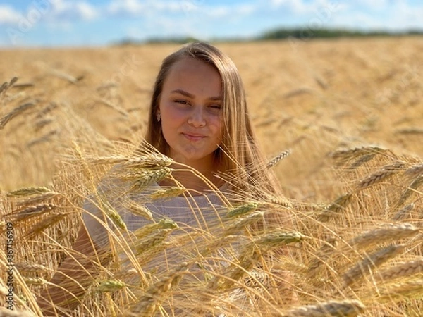 Obraz beautiful woman walks in a field with ears, takes pictures in a wheat field
