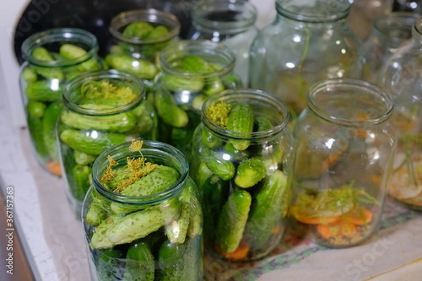 Fototapeta Canned pickled cucumbers in jars. Homemade food