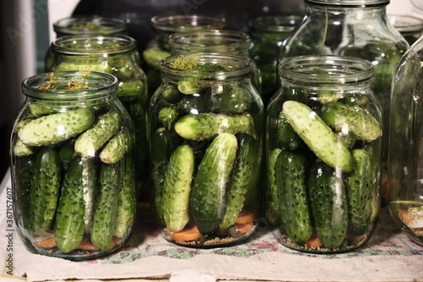 Fototapeta Canned pickled cucumbers in jars. Homemade food