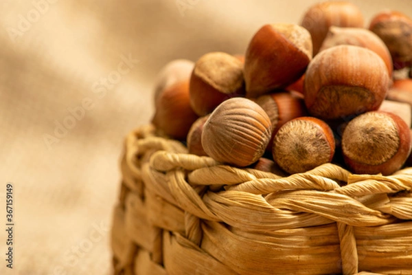 Fototapeta Hazelnut in a wicker basket on a background of homespun fabric with a rough texture. Close up.