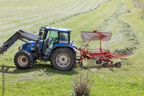 Fototapeta hay_making