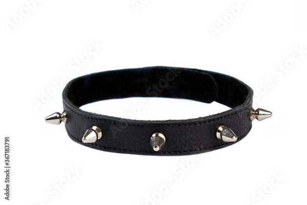 Fototapeta Black collar with black lining, rivets, spikes on a white background. Collar with metal spikes for erotic games. Dressed around the neck. Isolate. Place for text.