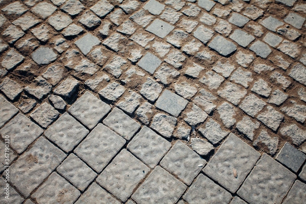 Fototapeta Nested pavers of various colors, around the grass is green, chic garden