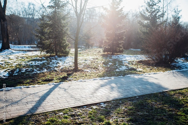 Fototapeta Nested pavers of various colors, around the grass is green, chic garden