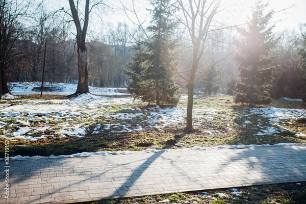Fototapeta Nested pavers of various colors, around the grass is green, chic garden
