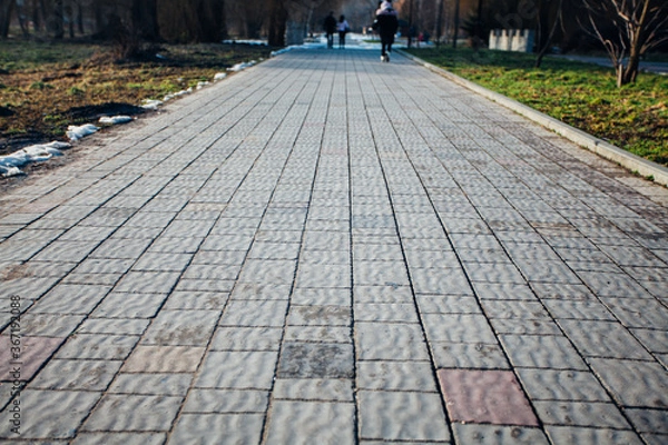 Fototapeta Nested pavers of various colors, around the grass is green, chic garden