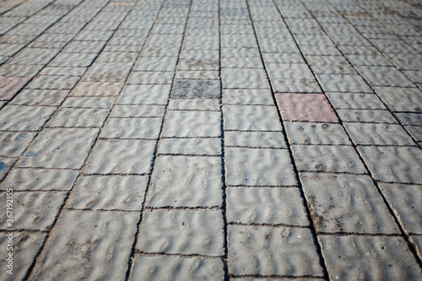 Fototapeta Nested pavers of various colors, around the grass is green, chic garden