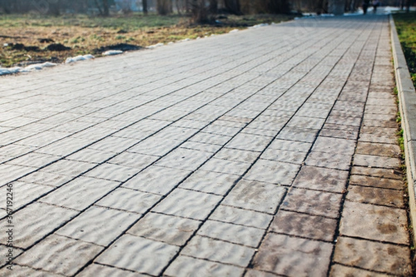 Fototapeta Nested pavers of various colors, around the grass is green, chic garden