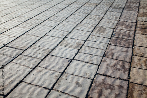 Fototapeta Nested pavers of various colors, around the grass is green, chic garden