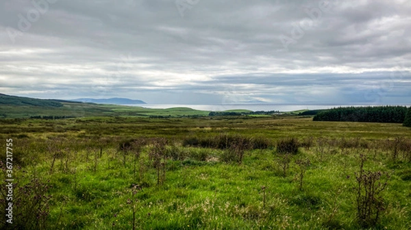 Obraz landscape with trees