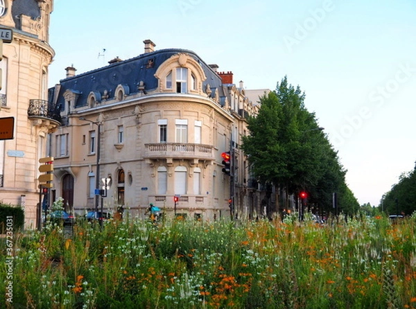 Obraz Reims dans la marne