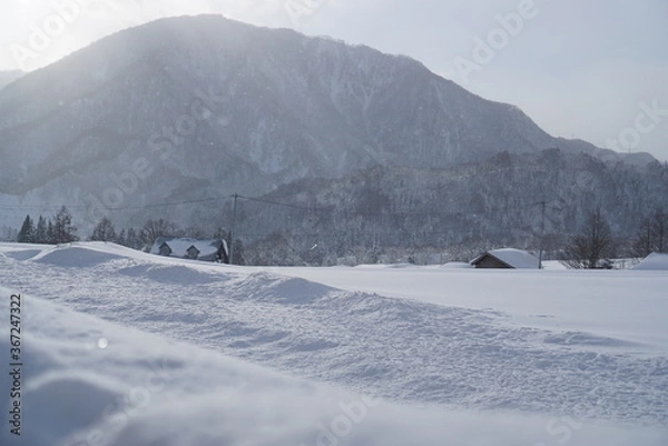 Obraz winter mountain landscape
