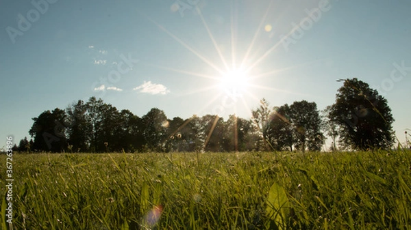 Fototapeta sunset over the field