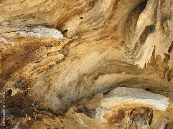 Obraz Old wood. Background.