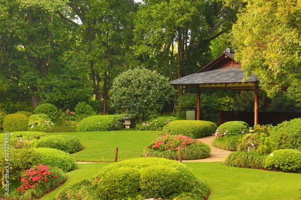 Obraz garden