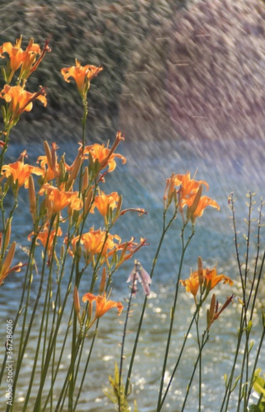 Obraz Kwiaty na tle fontanny