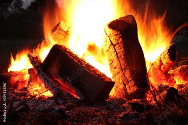 Fototapeta Bonfire at night 