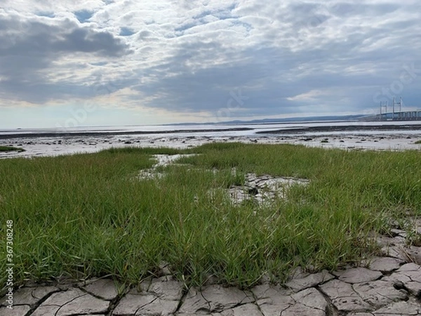 Obraz river in the field
